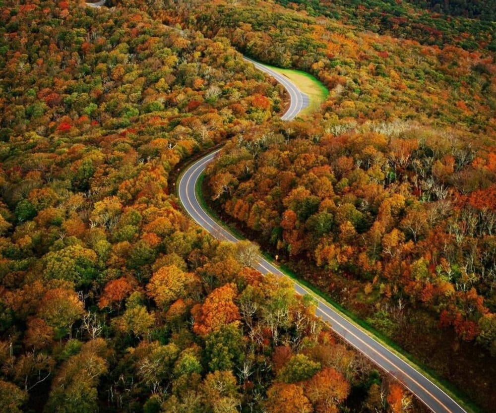 The Cherohala Skyway winding through autumn forest