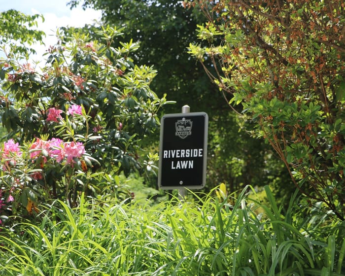 A Tapoco wayfinding sign among the rhododendron