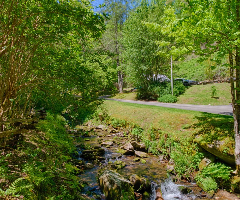 Creek running through the property